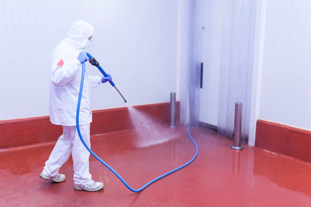 Best Driveway Pressure Washing  in Newington Forest, VA